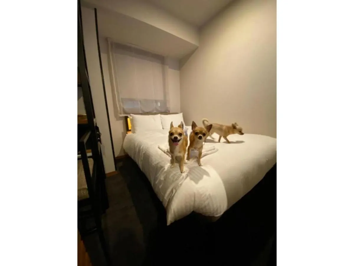 Ici Hotel Asakusabashi - Vacation Stay 69312V Tokyo