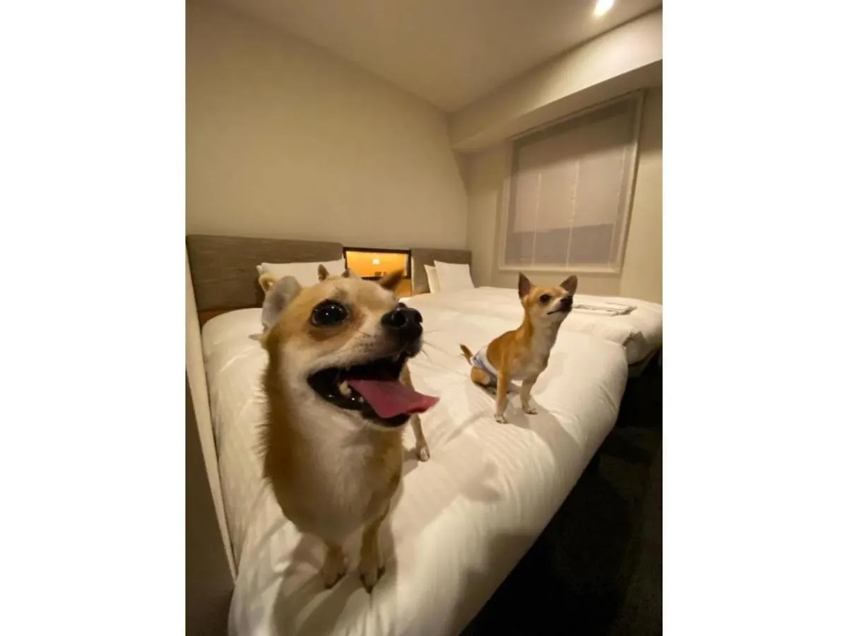 Ici Hotel Asakusabashi - Vacation Stay 69312V Tokyo 0*,